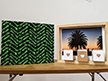 Emu Ridge Art Space
